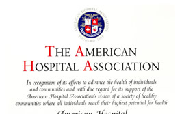 The American Hospital Association